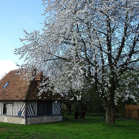 Gite Falafa Normand Pont-Évêque Buitenkant foto